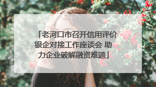 老河口市召开信用评价银企对接工作座谈会 助力企业破解融资难题