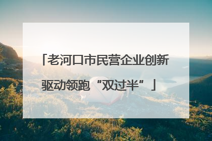 老河口市民营企业创新驱动领跑“双过半”