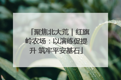 聚焦北大荒｜红旗岭农场：以演练促提升 筑牢平安基石