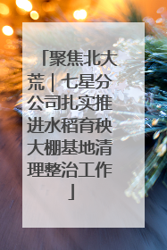 聚焦北大荒｜七星分公司扎实推进水稻育秧大棚基地清理整治工作
