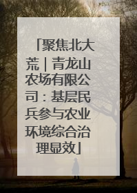 聚焦北大荒｜青龙山农场有限公司：基层民兵参与农业环境综合治理显效