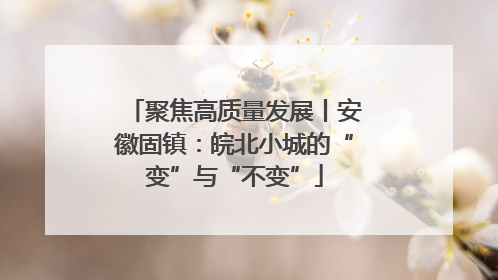 聚焦高质量发展丨安徽固镇：皖北小城的“变”与“不变”