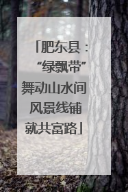 肥东县：“绿飘带”舞动山水间 风景线铺就共富路