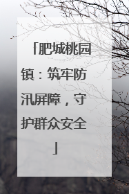 肥城桃园镇：筑牢防汛屏障，守护群众安全