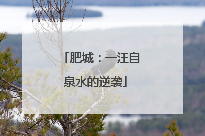 肥城：一汪自泉水的逆袭