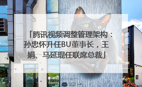 腾讯视频调整管理架构：孙忠怀升任BU董事长，王娟、马延琨任联席总裁