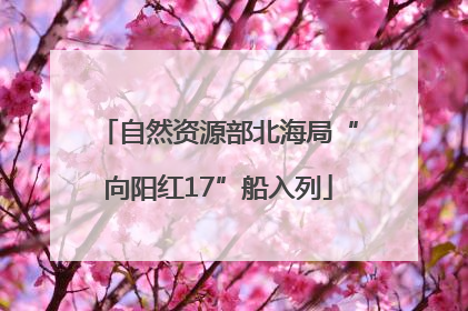 自然资源部北海局“向阳红17”船入列