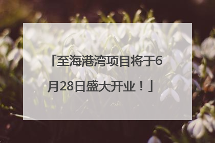 至海港湾项目将于6月28日盛大开业！