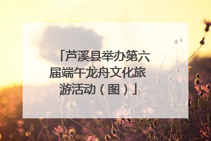芦溪县举办第六届端午龙舟文化旅游活动（图）