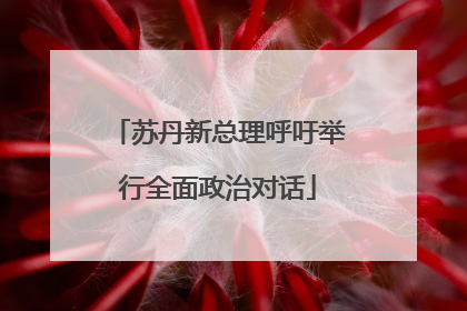 苏丹新总理呼吁举行全面政治对话