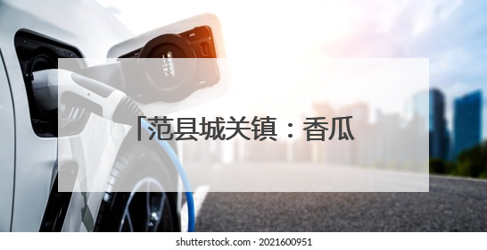 范县城关镇：香瓜丰收季，奏响乡村振兴 “甜蜜乐章”