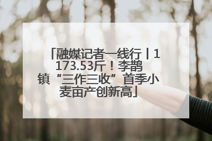 融媒记者一线行丨1173.53斤！李鹊镇“三作三收”首季小麦亩产创新高