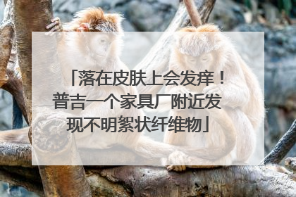 落在皮肤上会发痒！普吉一个家具厂附近发现不明絮状纤维物