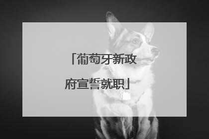 葡萄牙新政府宣誓就职