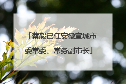 蔡毅已任安徽宣城市委常委、常务副市长