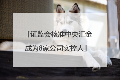 证监会核准中央汇金成为8家公司实控人