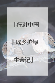 行进中国丨瑶乡护绿生金记