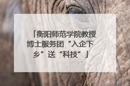 衡阳师范学院教授博士服务团“入企下乡”送“科技”