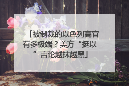 被制裁的以色列高官有多极端？美方“挺以”言论越抹越黑