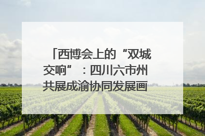 西博会上的“双城交响”：四川六市州共展成渝协同发展画卷｜西博视界