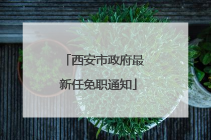 西安市政府最新任免职通知