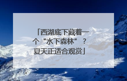 西湖底下藏着一个“水下森林”？夏天正适合观赏