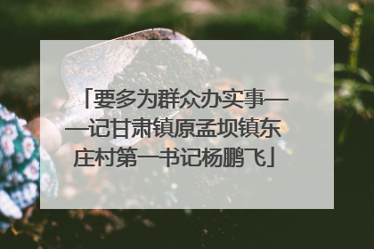 要多为群众办实事——记甘肃镇原孟坝镇东庄村第一书记杨鹏飞