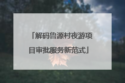 解码鲁源村夜游项目审批服务新范式