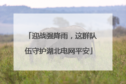迎战强降雨，这群队伍守护湖北电网平安