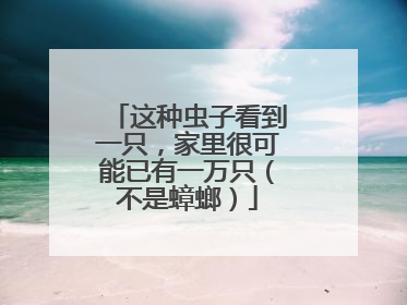 这种虫子看到一只，家里很可能已有一万只（不是蟑螂）