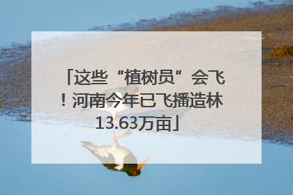 这些“植树员”会飞！河南今年已飞播造林13.63万亩