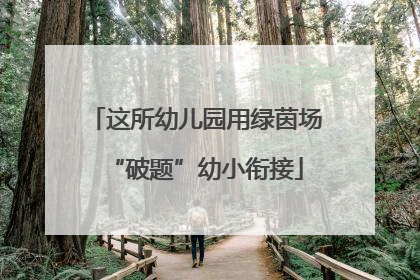 这所幼儿园用绿茵场“破题”幼小衔接
