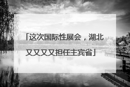 这次国际性展会，湖北又又又又担任主宾省