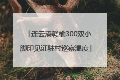 连云港赣榆300双小脚印见证驻村巡察温度