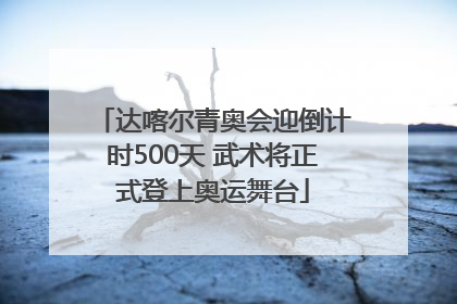 达喀尔青奥会迎倒计时500天 武术将正式登上奥运舞台