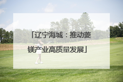 辽宁海城：推动菱镁产业高质量发展