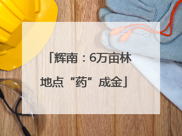 辉南：6万亩林地点“药”成金