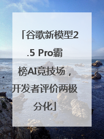 谷歌新模型2.5 Pro霸榜AI竞技场，开发者评价两极分化