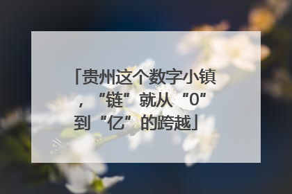 贵州这个数字小镇，“链”就从“0”到“亿”的跨越