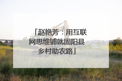 赵艳芳：用互联网思维铺就固阳县乡村助农路