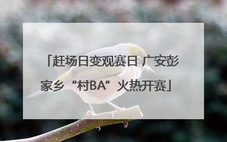 赶场日变观赛日 广安彭家乡“村BA”火热开赛