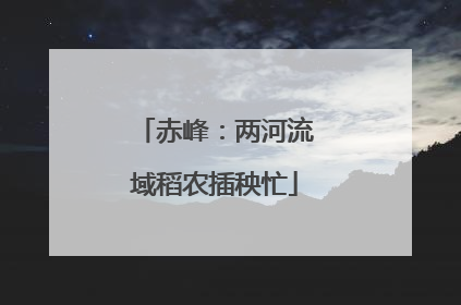 赤峰：两河流域稻农插秧忙
