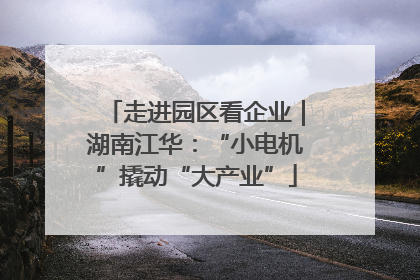 走进园区看企业｜湖南江华：“小电机”撬动“大产业”