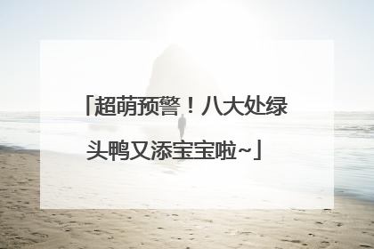 超萌预警！八大处绿头鸭又添宝宝啦~