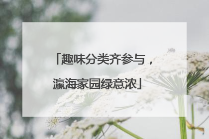 趣味分类齐参与，瀛海家园绿意浓