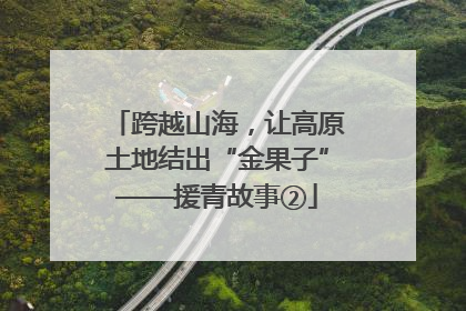 跨越山海，让高原土地结出“金果子”——援青故事②