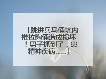 跳进兵马俑坑内推拉陶俑造成损坏！男子抓到了，患精神疾病……