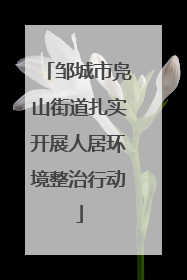 邹城市凫山街道扎实开展人居环境整治行动