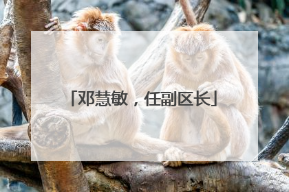 邓慧敏，任副区长