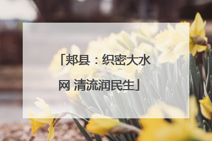 郏县：织密大水网 清流润民生